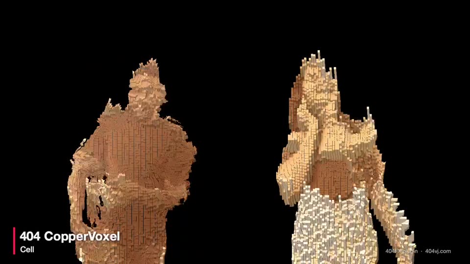 404 CopperVoxel