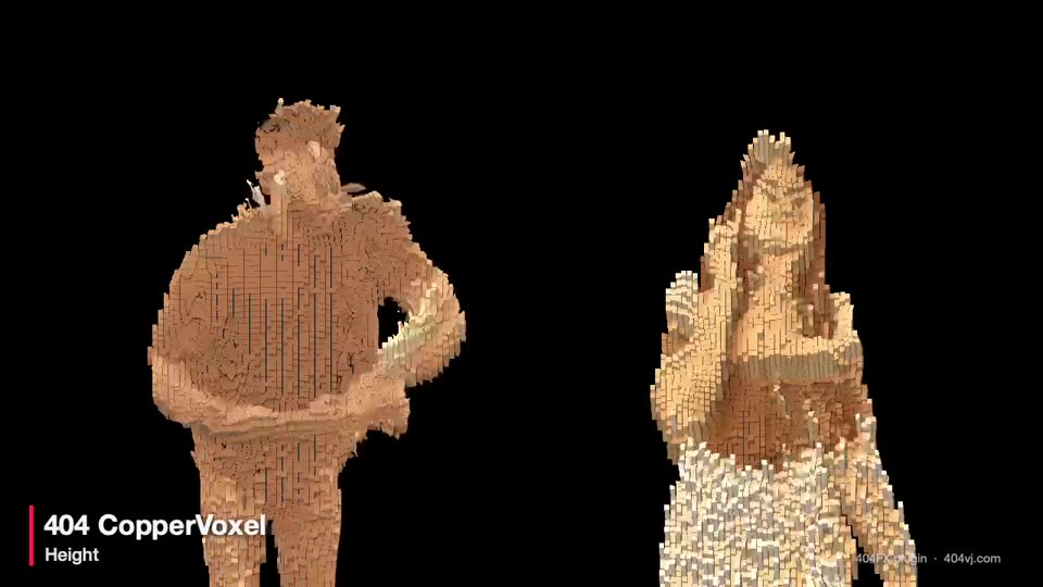 404 CopperVoxel