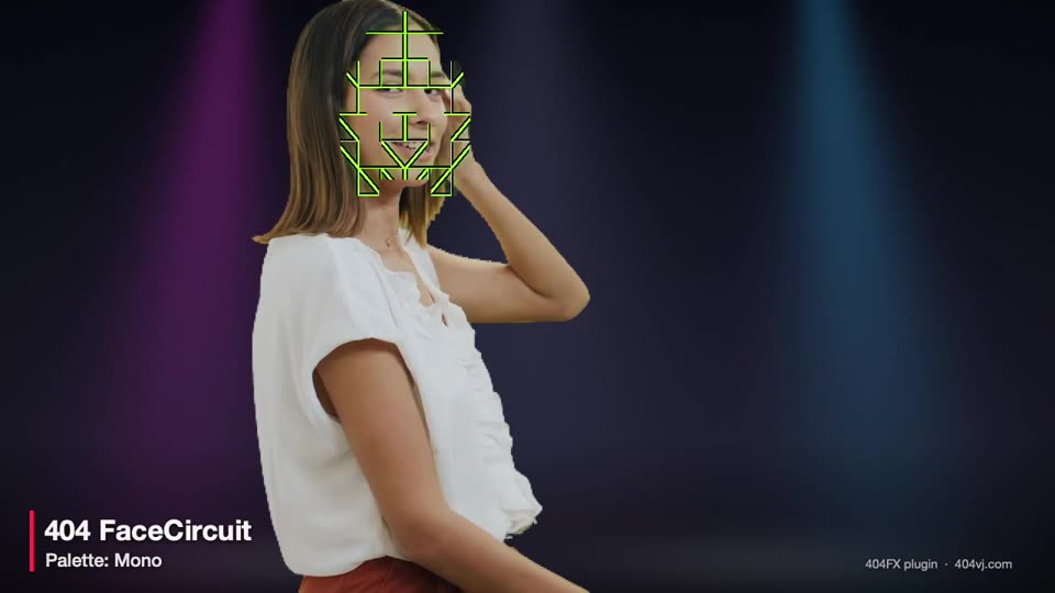 404 FaceCircuit