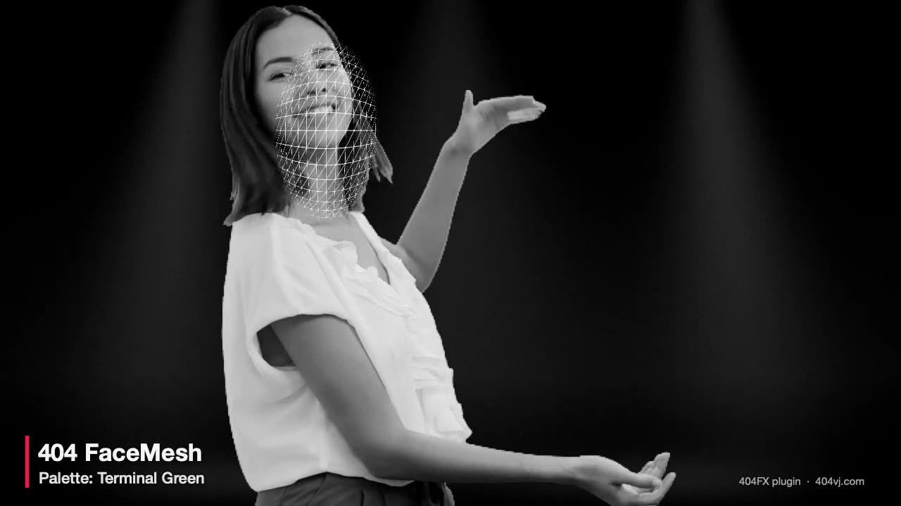 404 FaceMesh
