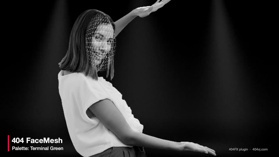 404 FaceMesh
